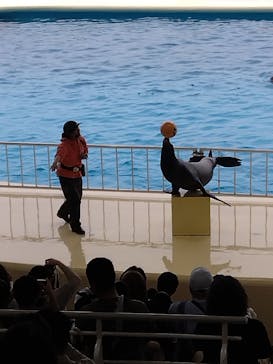 マリンワールド海の中道に投稿された画像（2024/10/7）