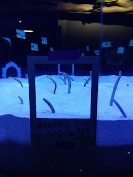 マリンワールド海の中道に投稿された画像（2024/10/7）