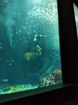 マリンワールド海の中道に投稿された画像（2024/10/7）