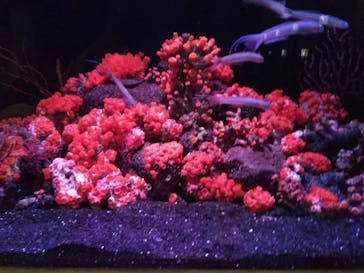 マリンワールド海の中道に投稿された画像（2024/10/7）