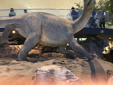 福井県立恐竜博物館に投稿された画像（2024/10/7）