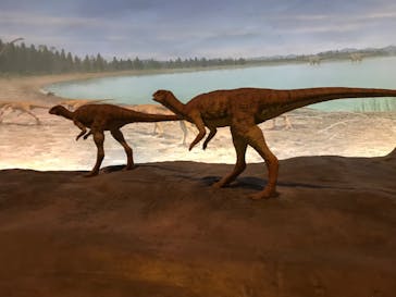 福井県立恐竜博物館に投稿された画像（2024/10/7）