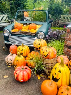 横浜イングリッシュガーデンに投稿された画像（2024/10/7）