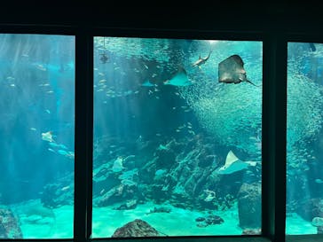 マリンワールド海の中道に投稿された画像（2024/10/7）