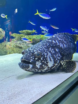 マリンワールド海の中道に投稿された画像（2024/10/7）