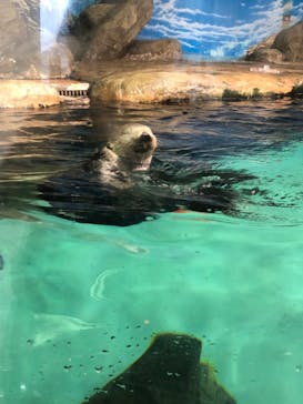 マリンワールド海の中道に投稿された画像（2024/10/7）