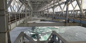 徳島県立 渦の道に投稿された画像（2024/10/8）