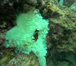 沖縄マリンサービス碧に投稿された画像（2024/10/8）