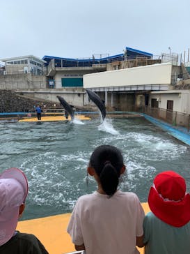 越前松島水族館に投稿された画像（2024/10/8）
