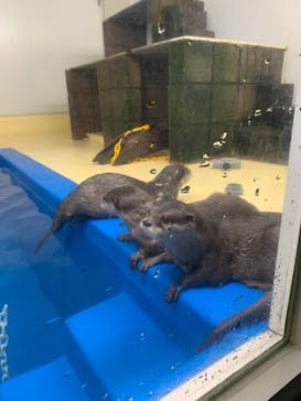 越前松島水族館に投稿された画像（2024/10/8）