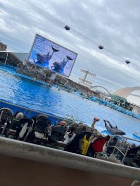 名古屋港水族館に投稿された画像（2024/10/8）