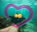 青の洞窟専門店　沖縄ダイビングショップ和に投稿された画像（2024/10/8）