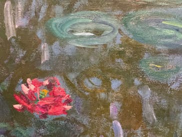 モネ 睡蓮のとき（国立西洋美術館）に投稿された画像（2024/10/8）