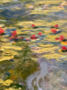 モネ 睡蓮のとき（国立西洋美術館）に投稿された画像（2024/10/8）