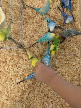 いきもの探検隊湘南に投稿された画像（2024/10/8）