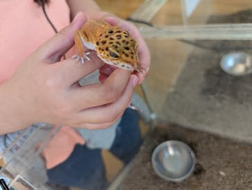 いきもの探検隊湘南に投稿された画像（2024/10/8）