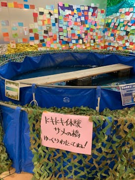 いきもの探検隊湘南に投稿された画像（2024/10/8）