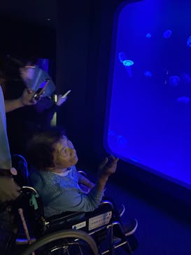 大分マリーンパレス水族館 「うみたまご」に投稿された画像（2024/10/8）