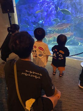 大分マリーンパレス水族館 「うみたまご」に投稿された画像（2024/10/8）