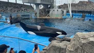 名古屋港水族館に投稿された画像（2024/10/8）