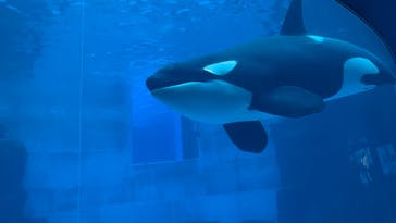 名古屋港水族館に投稿された画像（2024/10/8）