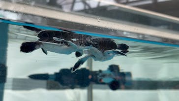 名古屋港水族館に投稿された画像（2024/10/8）