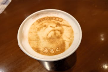 サンシャイン水族館に投稿された画像（2024/10/8）