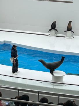 鴨川シーワールドに投稿された画像（2024/10/8）