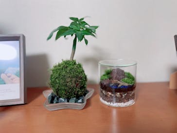 カルチャースクールいろはに投稿された画像（2024/10/8）