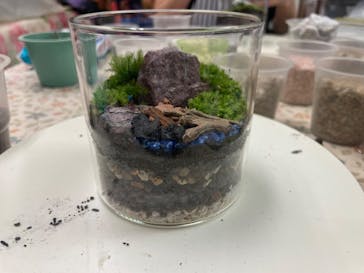 カルチャースクールいろはに投稿された画像（2024/10/8）