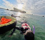 沖縄ダイビングショップシーモールに投稿された画像（2024/10/8）