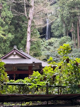 ジャパンだるまツアーに投稿された画像（2024/10/8）