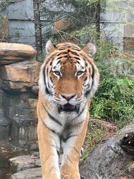 那須どうぶつ王国に投稿された画像（2024/10/8）