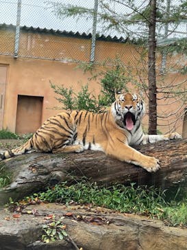 那須どうぶつ王国に投稿された画像（2024/10/8）