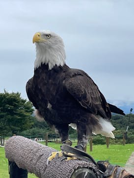 那須どうぶつ王国に投稿された画像（2024/10/8）