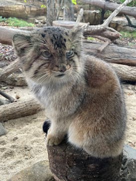 那須どうぶつ王国に投稿された画像（2024/10/8）