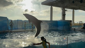 新江ノ島水族館に投稿された画像（2024/10/8）