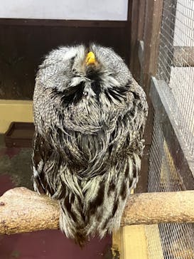 掛川花鳥園に投稿された画像（2024/10/8）