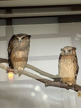 掛川花鳥園に投稿された画像（2024/10/8）