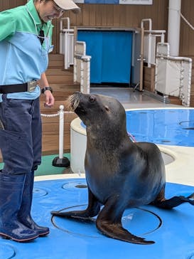 サンシャイン水族館に投稿された画像（2024/10/8）