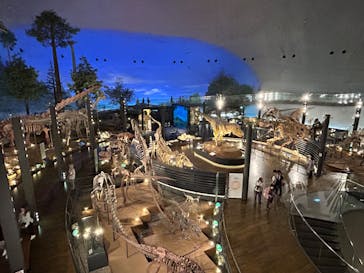 福井県立恐竜博物館に投稿された画像（2024/10/8）