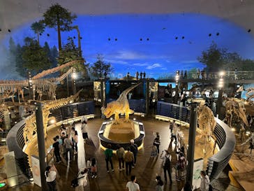福井県立恐竜博物館に投稿された画像（2024/10/8）