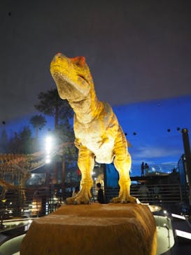 福井県立恐竜博物館に投稿された画像（2024/10/8）