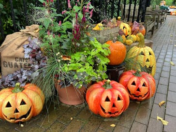 横浜イングリッシュガーデンに投稿された画像（2024/10/8）