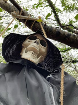 横浜イングリッシュガーデンに投稿された画像（2024/10/8）