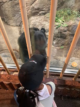 恩賜上野動物園に投稿された画像（2024/10/9）