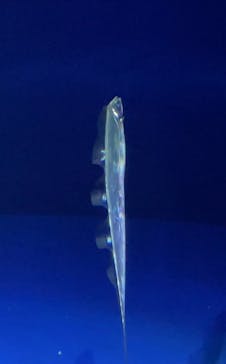 サンシャイン水族館に投稿された画像（2024/10/9）