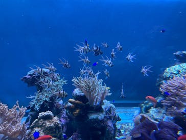 サンシャイン水族館に投稿された画像（2024/10/9）