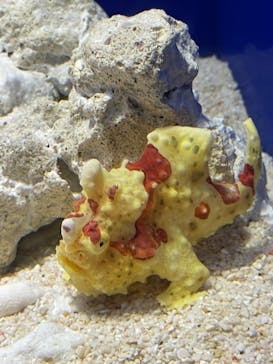 サンシャイン水族館に投稿された画像（2024/10/9）