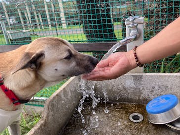 伊豆ぐらんぱる公園に投稿された画像（2024/10/9）